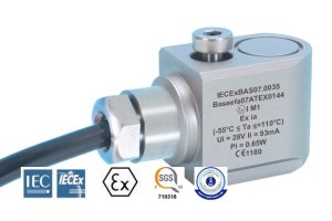 AC Standard HS100IS egensikret akselerometer Side Entry